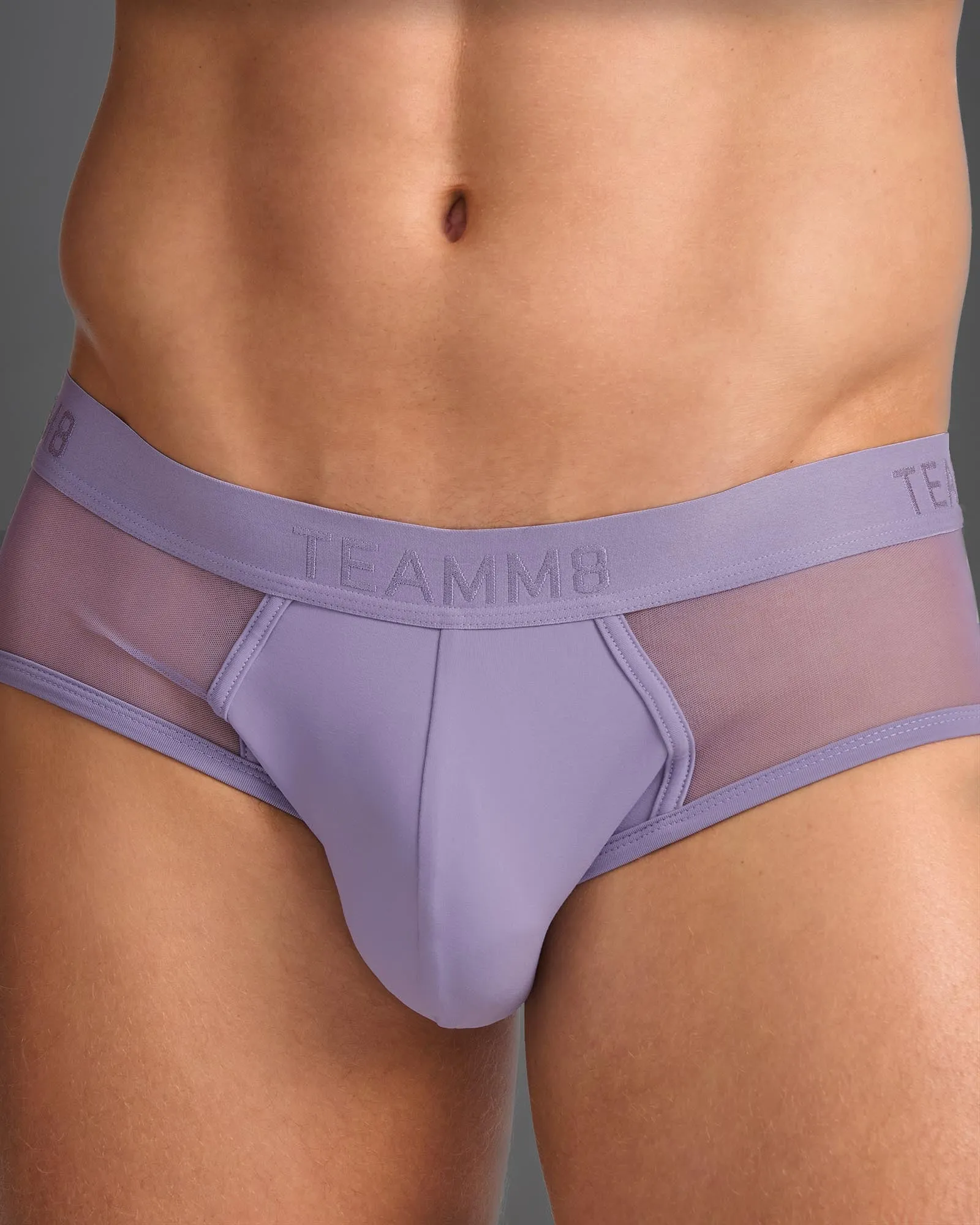 Score Sheer Brief - Lilac Dusk