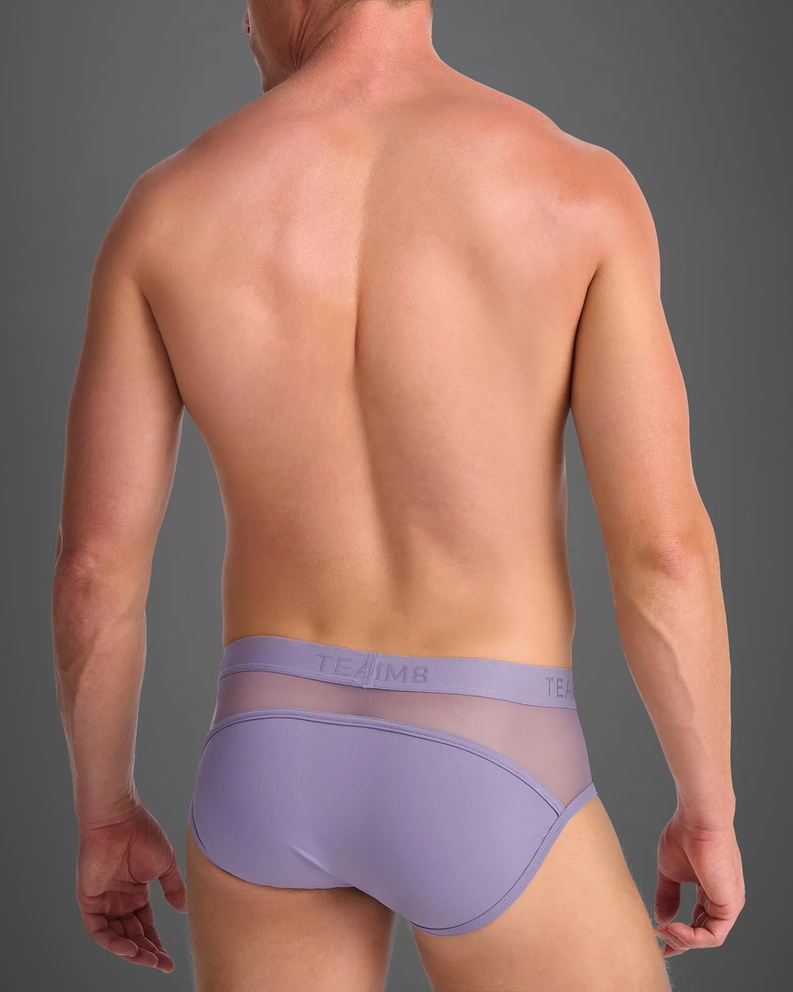 Score Sheer Brief - Lilac Dusk